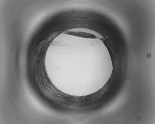 X0000111670383200908281117