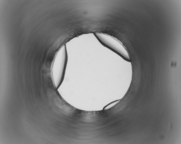 X0000111670384200908281117