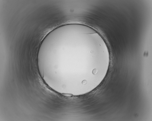 X0000111670385200908281116