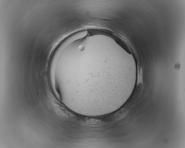 X0000111670387200908281116