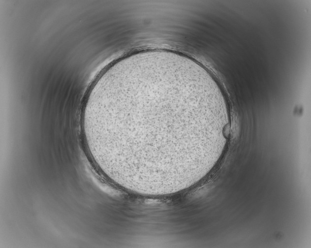 X0000111670390200908281116