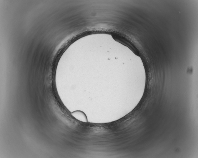 X0000111670392200908281116