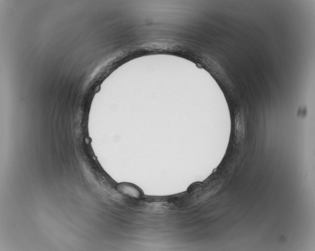 X0000111670396200908281116