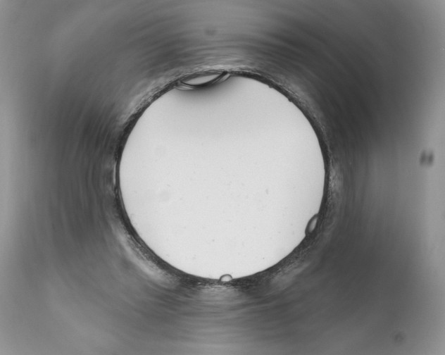 X0000111670397200908281116