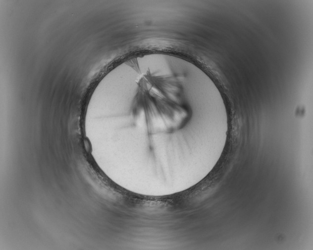 X0000111670399200908281116