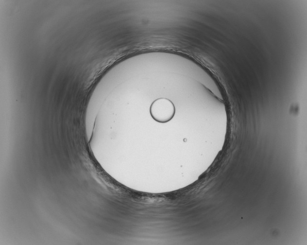 X0000111670401200908281116