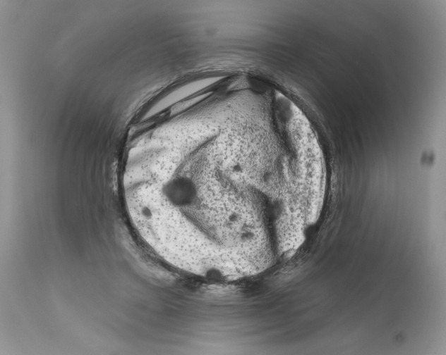 X0000111670403200908281116