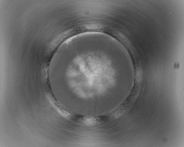 X0000111670405200908281116