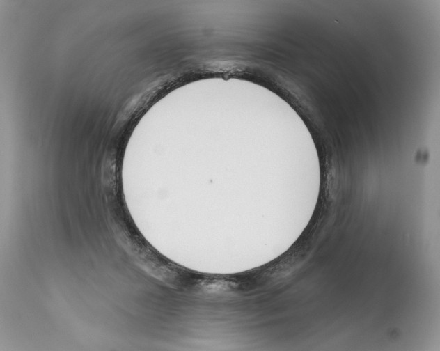 X0000111670407200908281116