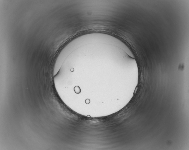 X0000111670411200908281116