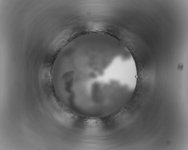 X0000111670415200908281116