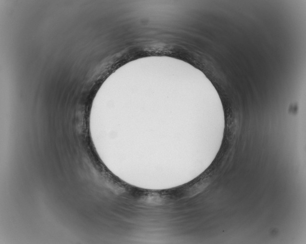 X0000111670416200908281116