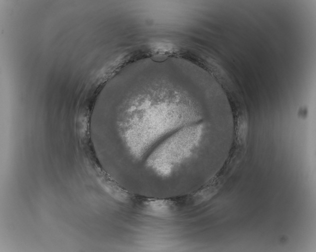 X0000111670417200908281116