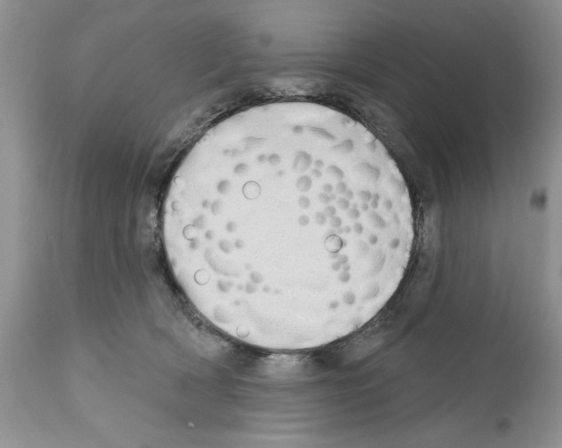 X0000111670418200908281116