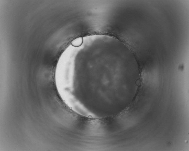 X0000111670423200908281116