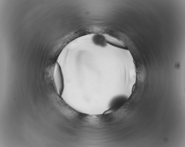 X0000111670425200908281116