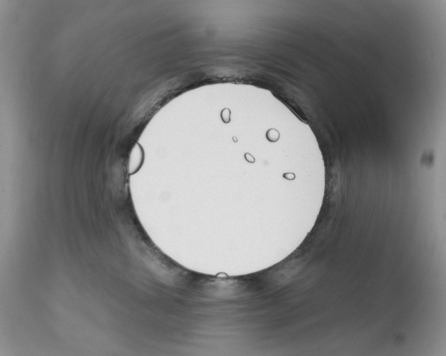 X0000111670428200908281115