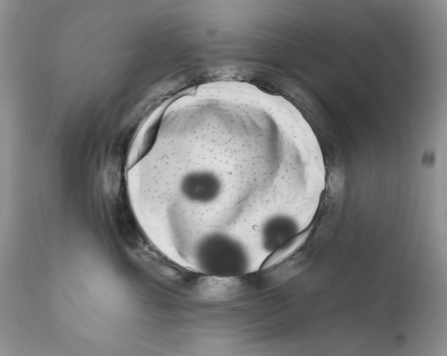 X0000111670429200908281115