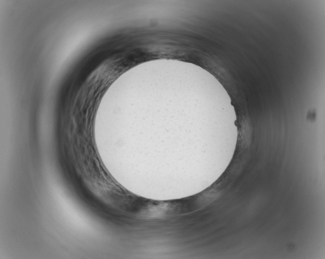 X0000111670430200908281115