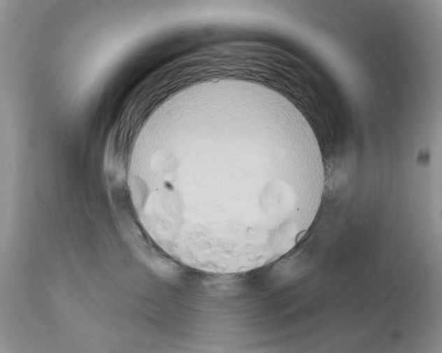 X0000111670431200908281115