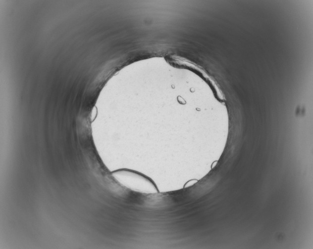 X0000111670432200908281115