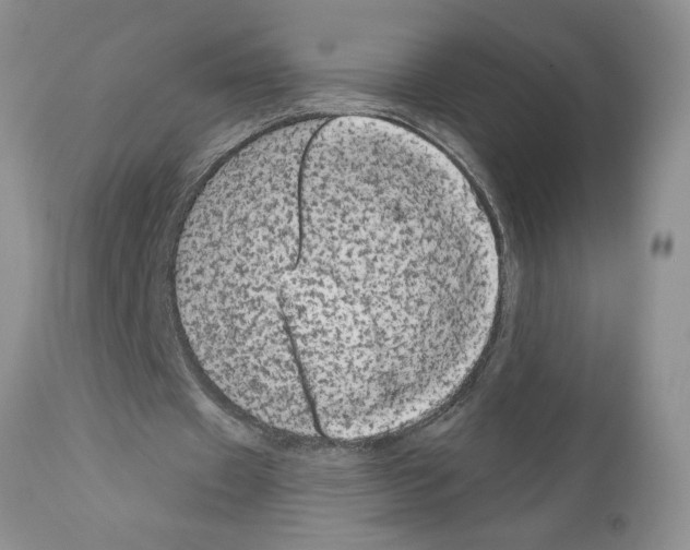 X0000111670433200908281115