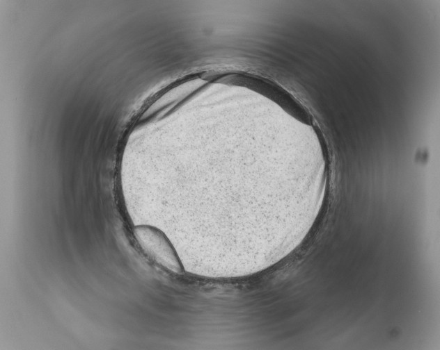 X0000111670434200908281115