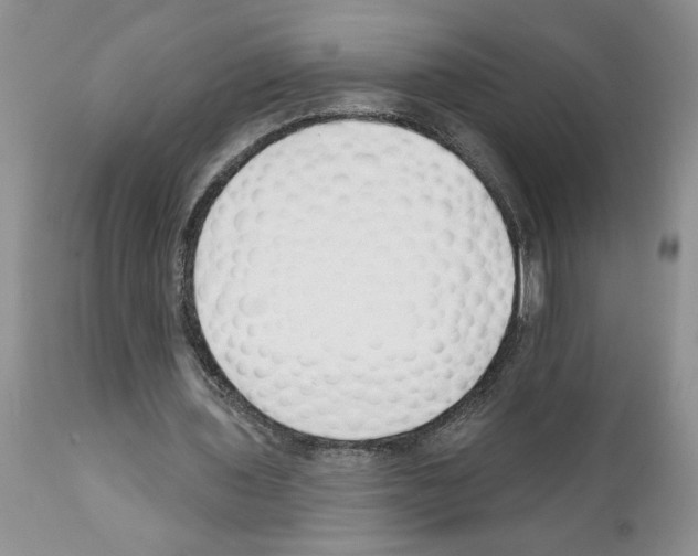 X0000111670435200908281115