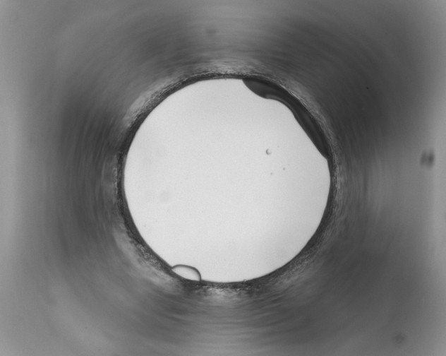 X0000111670442200908281115