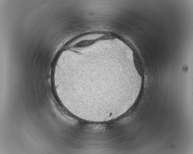 X0000111670443200908281115