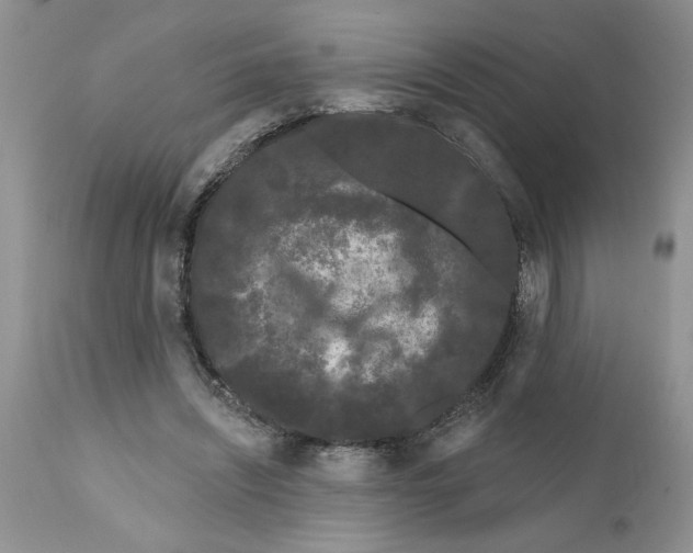 X0000111670444200908281115