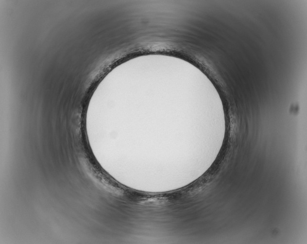 X0000111670447200908281115