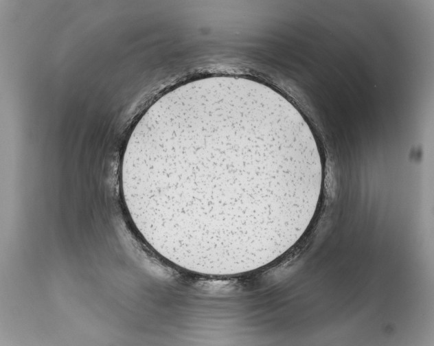 X0000111670449200908281115