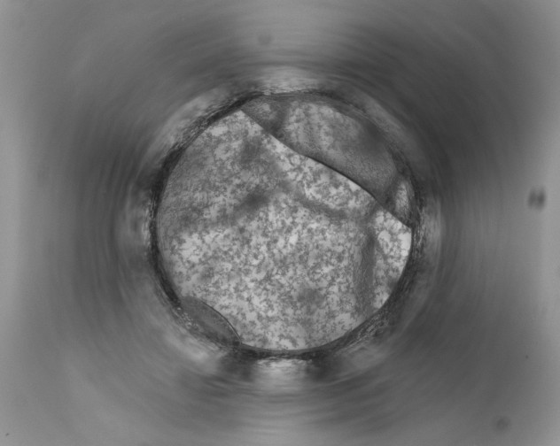 X0000111670452200908281115