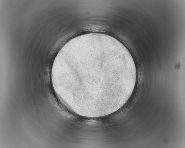 X0000111670453200908281115