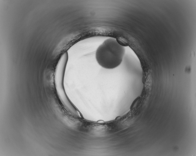 X0000111670456200908281115