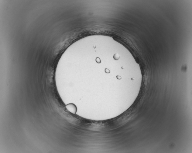 X0000111670458200908281115