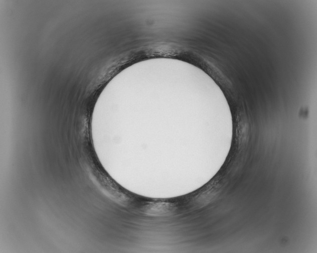 X0000111670459200908281115