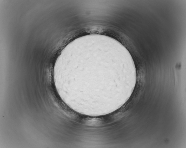 X0000111670460200908281115