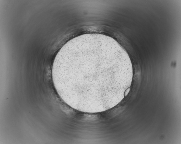 X0000111670469200908281115