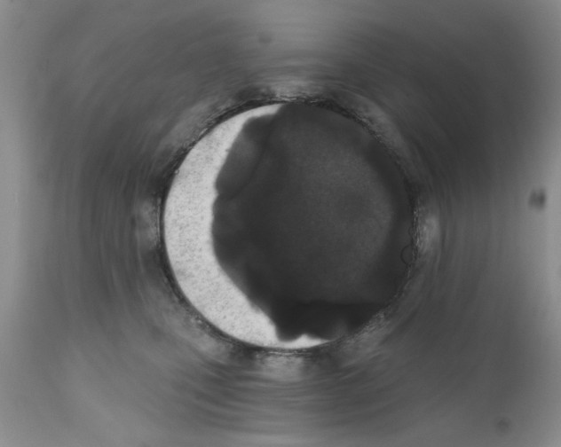 X0000111670471200908281115