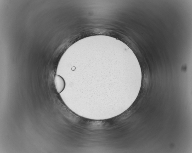 X0000111670473200908281115