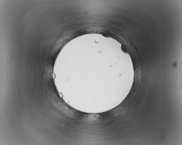 X0000111670474200908281115