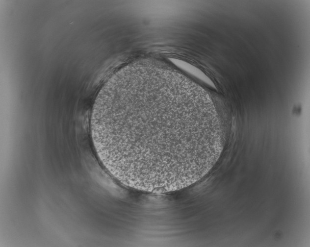 X0000111670475200908281115