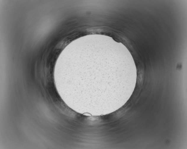 X0000111670477200908281115