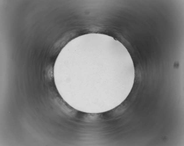 X0000111670479200908281115