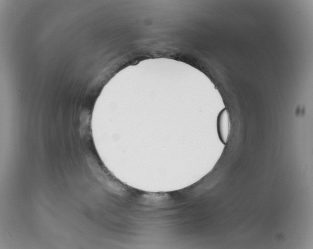 X0000111670480200908281115