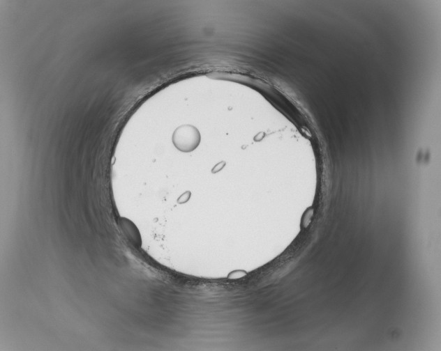 X0000111670481200908281115