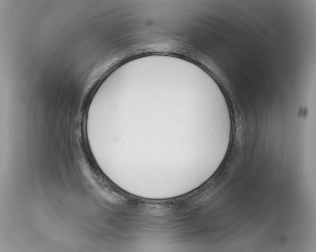 X0000111670486200908281115