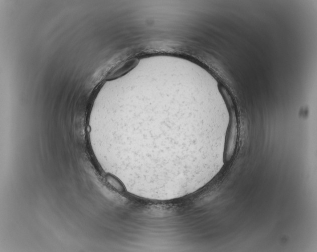 X0000111670489200908281115